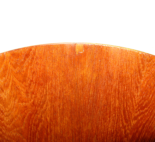 First Inside Blemish2 View